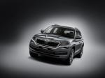 Skoda Kodiaq 2016 года (WW)